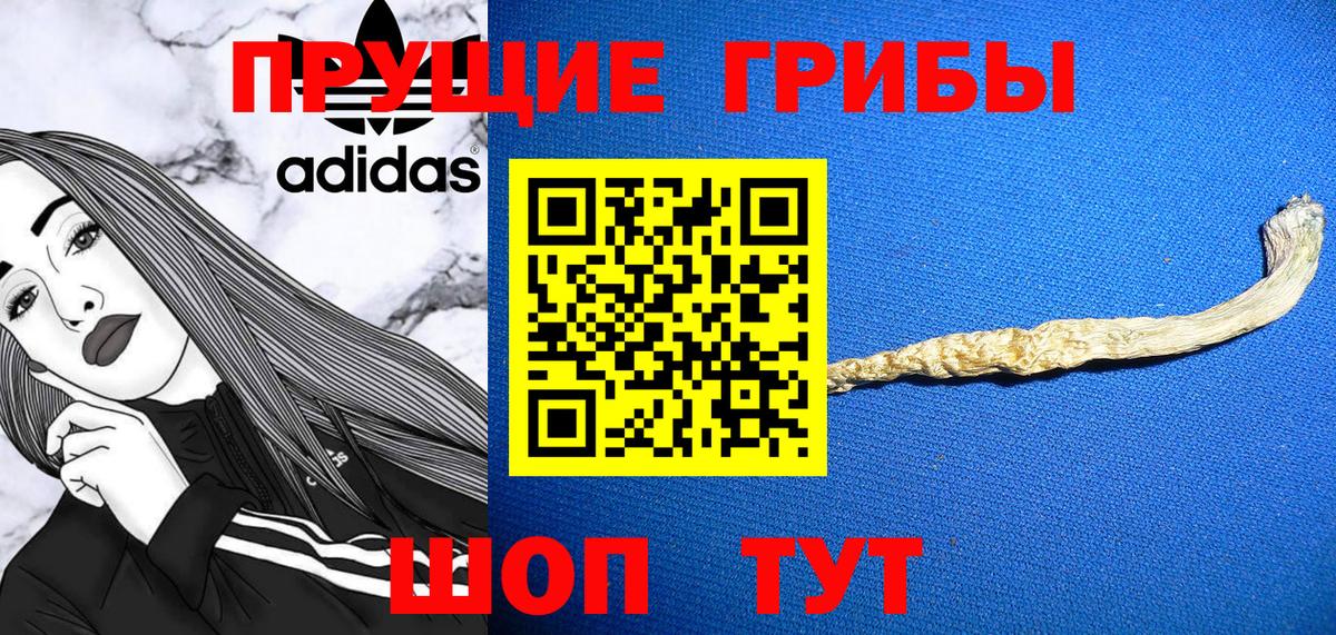 Псилоцибиновые грибы Psilocybe  Вход с VPN  закладки  Калуга  Галлюциногенные грибы Psilocybine cubensis 