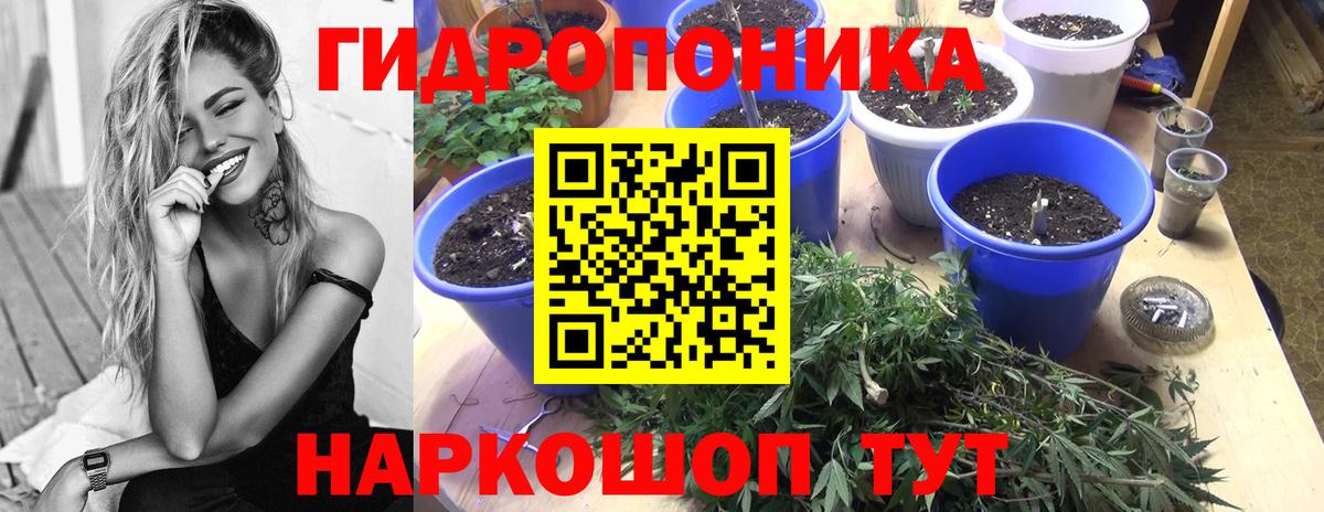 Бошки Шишки OG Kush  Бошки марихуана MAZAR  Вход с VPN  Калуга  Каннабис VHQ 